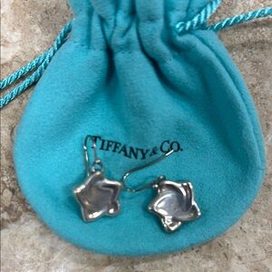 Tiffany & Co. Silver Earrings